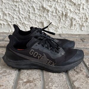 Nike Mens Zoom Pegasus 36 Trail GTX Gore-Tex Black BV7762-001 Sneakers